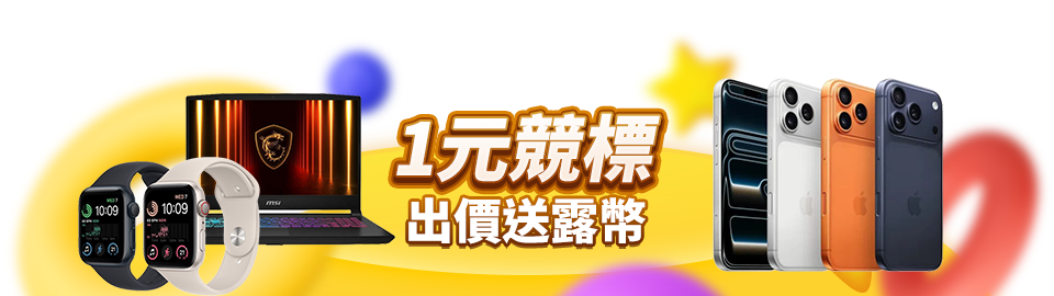 一元競標