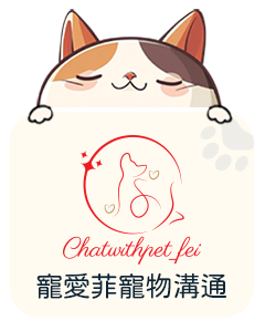 寵愛菲寵物溝通 Chat with Pet